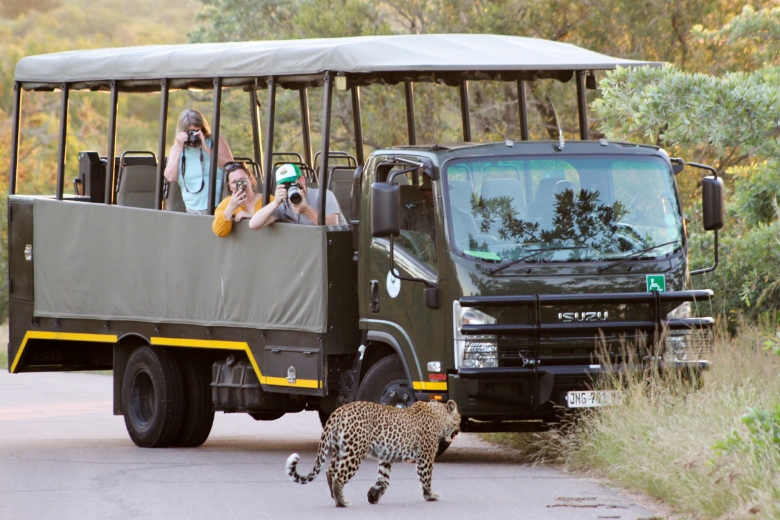 This image for Image Layouts addon