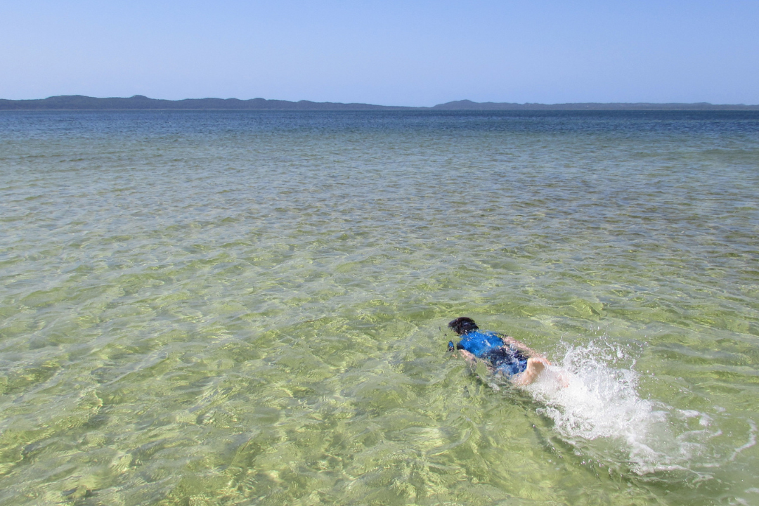 Elephant Coast Experience