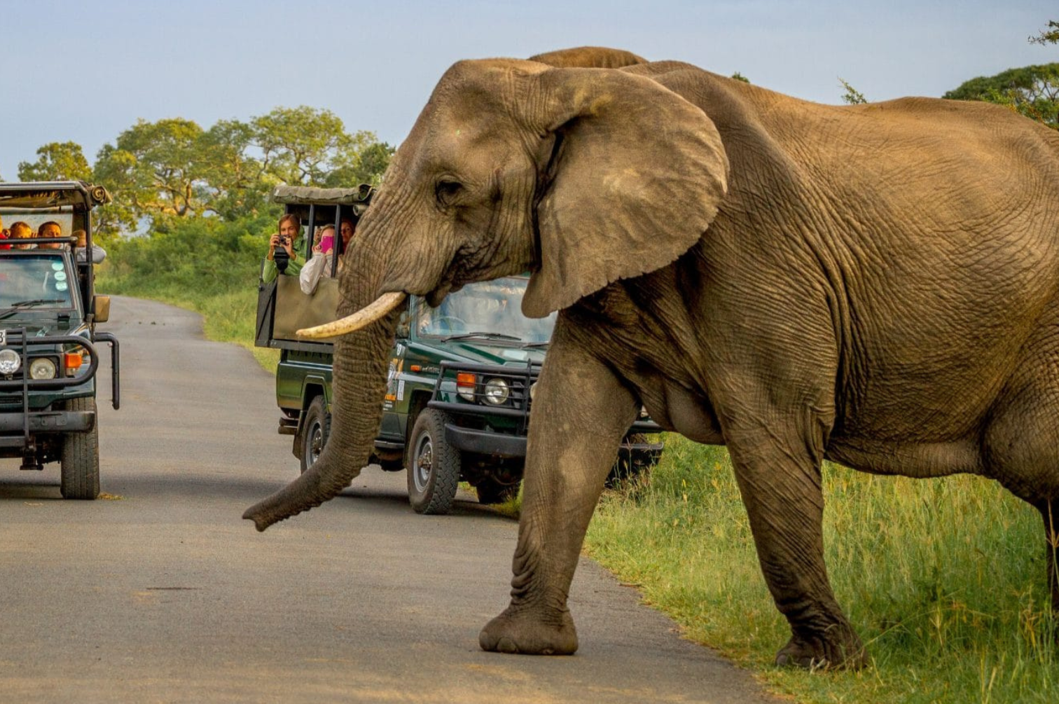 The Safari & Cultural Experience