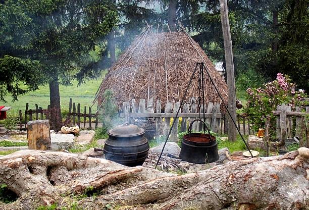 Zulu Village Experience Tour